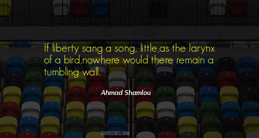 Ahmad Shamlou Quotes #1664502