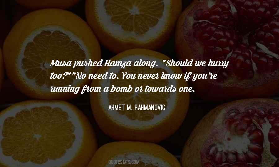 Ahmet M. Rahmanovic Quotes #284026