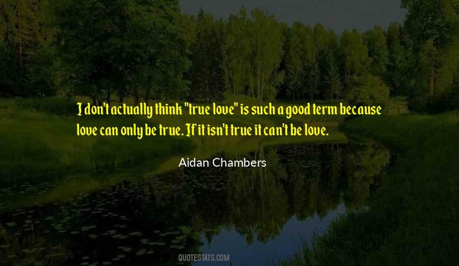 Aidan Chambers Quotes #1111263