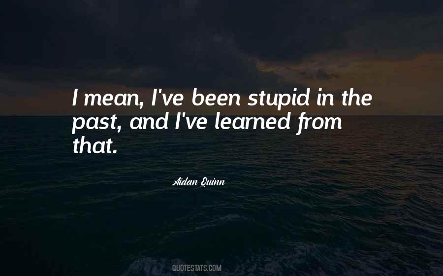 Aidan Quinn Quotes #123488