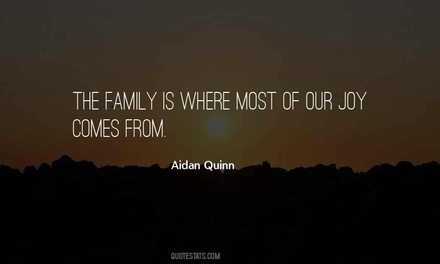 Aidan Quinn Quotes #2482