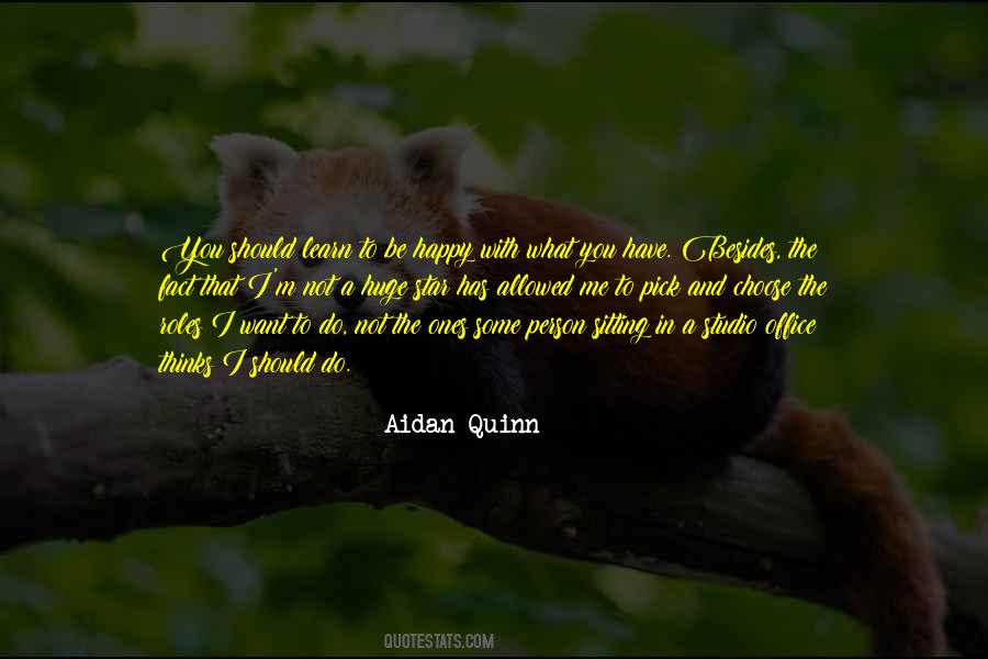 Aidan Quinn Quotes #861161