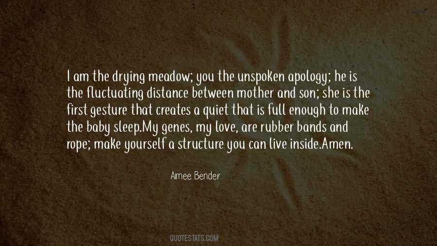 Aimee Bender Quotes #730736