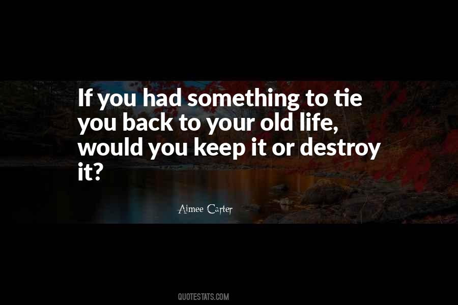Aimee Carter Quotes #1683358