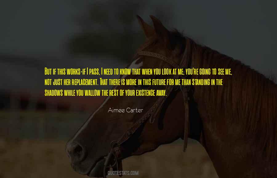 Aimee Carter Quotes #925311