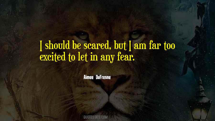 Aimee DuFresne Quotes #122909 Aimee DuFresne Quotes #122909