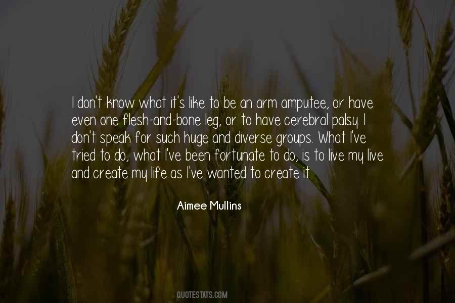 Aimee Mullins Quotes #834413