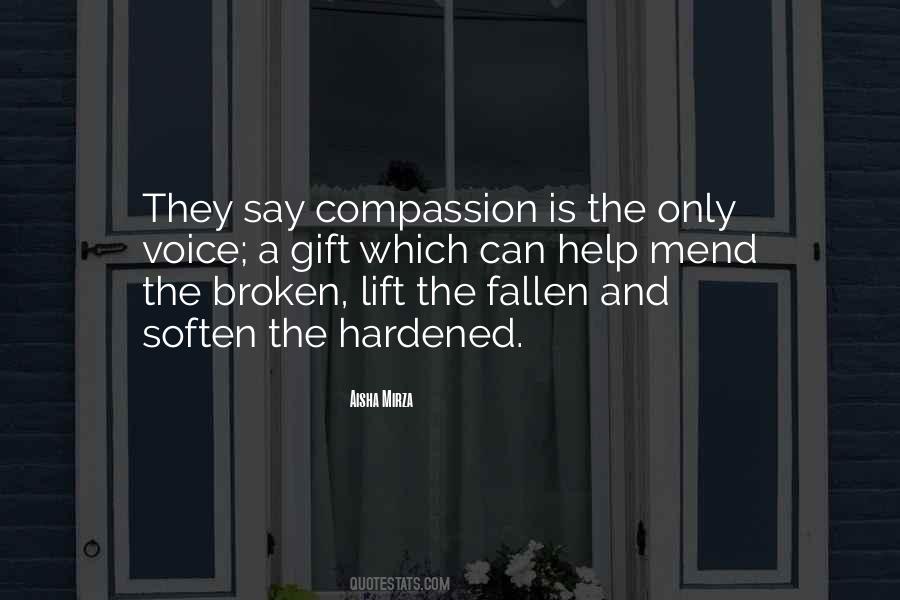 Aisha Mirza Quotes #283842