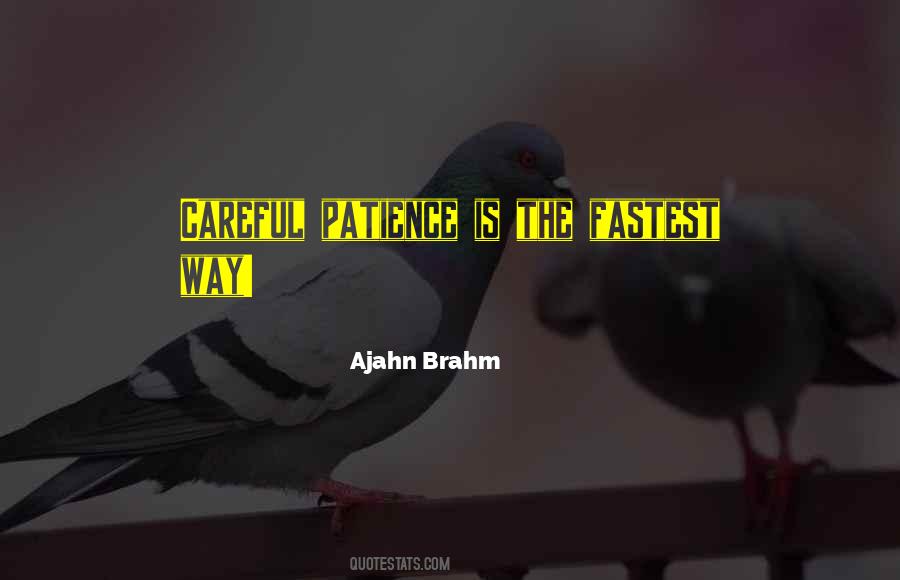 Ajahn Brahm Quotes #842559