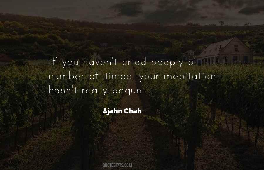 Ajahn Chah Quotes #1168089