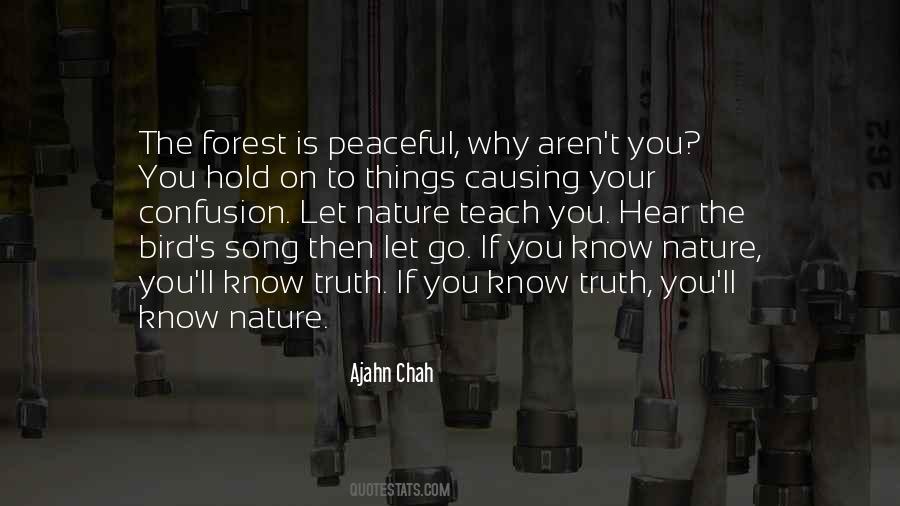 Ajahn Chah Quotes #1337799