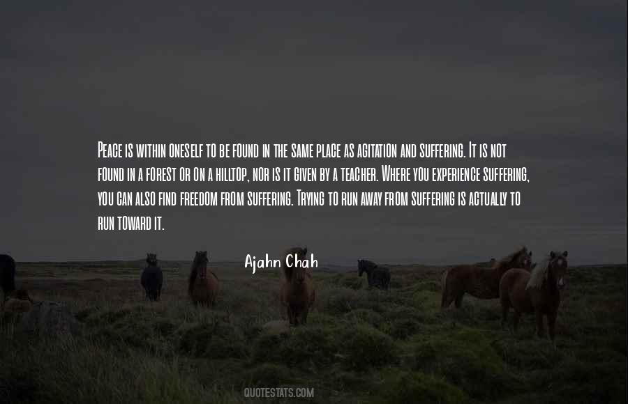 Ajahn Chah Quotes #619643