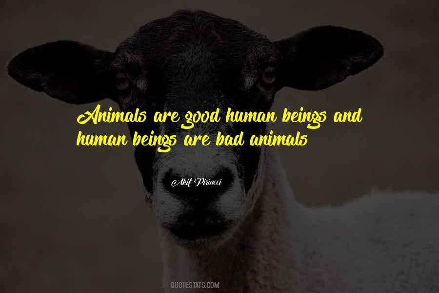 Akif Pirincci Quotes #1189476