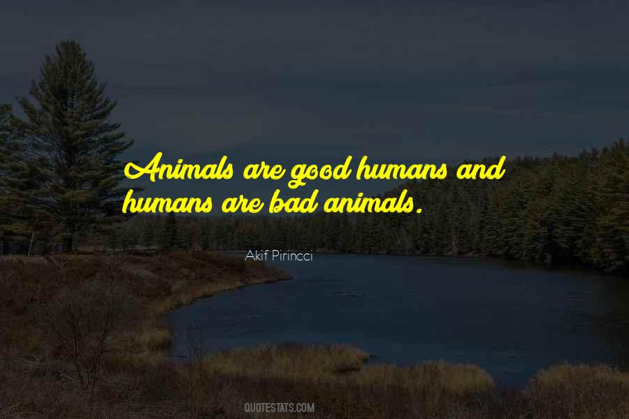 Akif Pirincci Quotes #264324