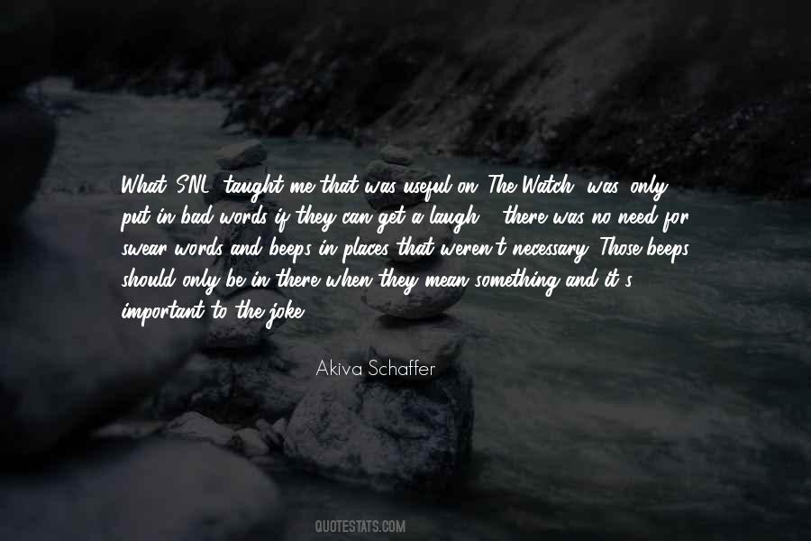 Akiva Schaffer Quotes #259468