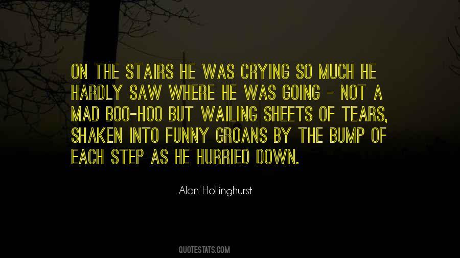 Alan Hollinghurst Quotes #489916