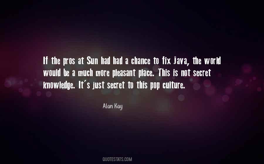 Alan Kay Quotes #681008