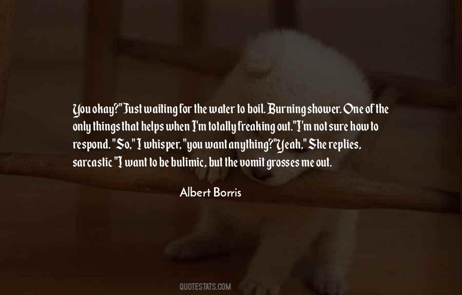 Albert Borris Quotes #908140