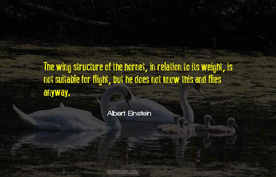 Albert Einstein Quotes #1318506