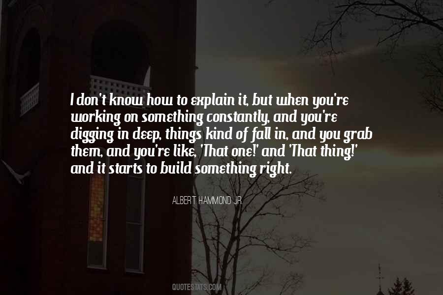 Albert Hammond Jr. Quotes #1120230