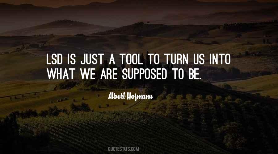 Albert Hofmann Quotes #207607