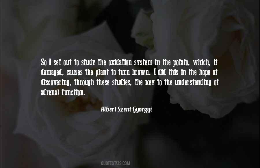 Albert Szent-Gyorgyi Quotes #1280247