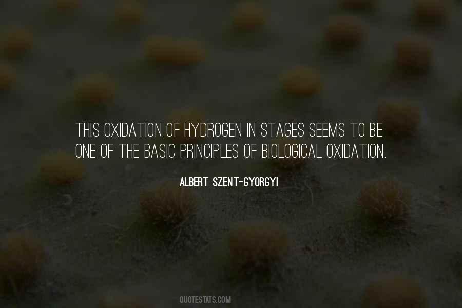 Albert Szent-Gyorgyi Quotes #719921