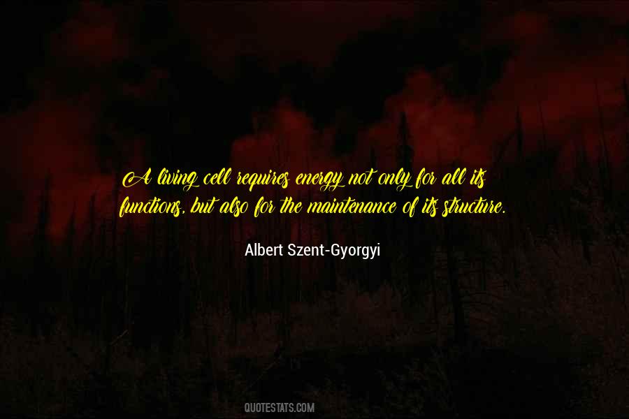 Albert Szent-Gyorgyi Quotes #918064