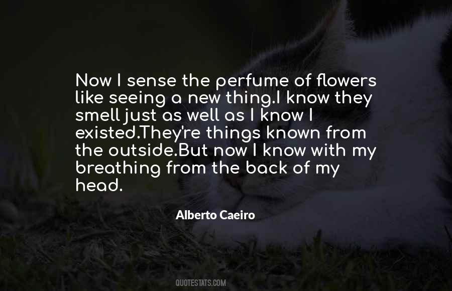 Alberto Caeiro Quotes #1805711