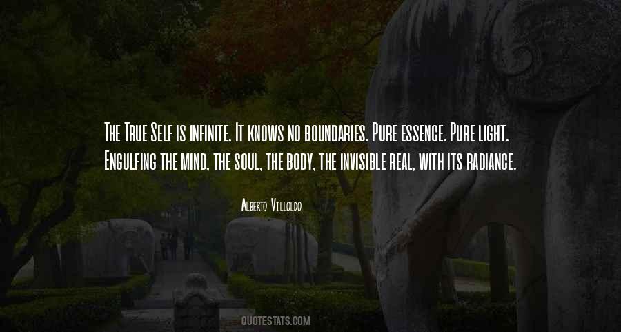 Alberto Villoldo Quotes #438578