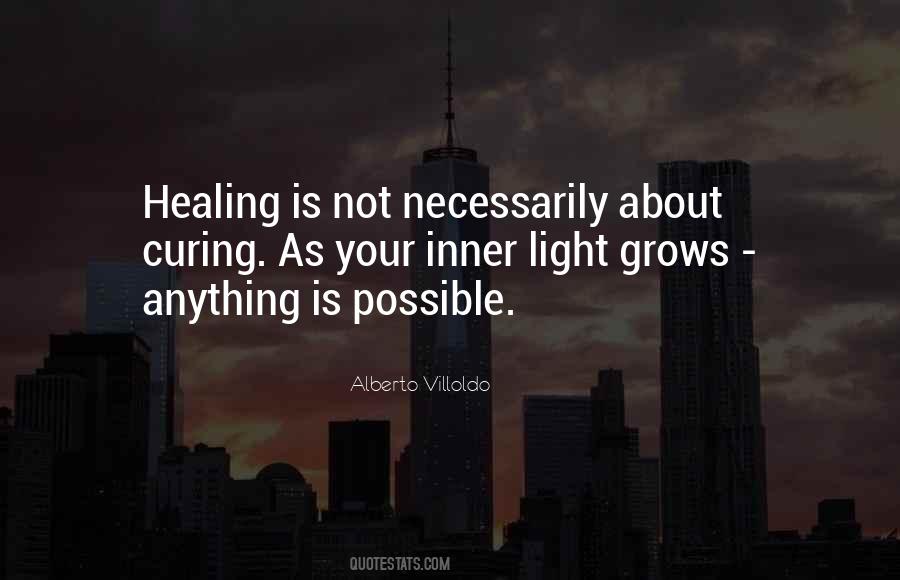 Alberto Villoldo Quotes #562650