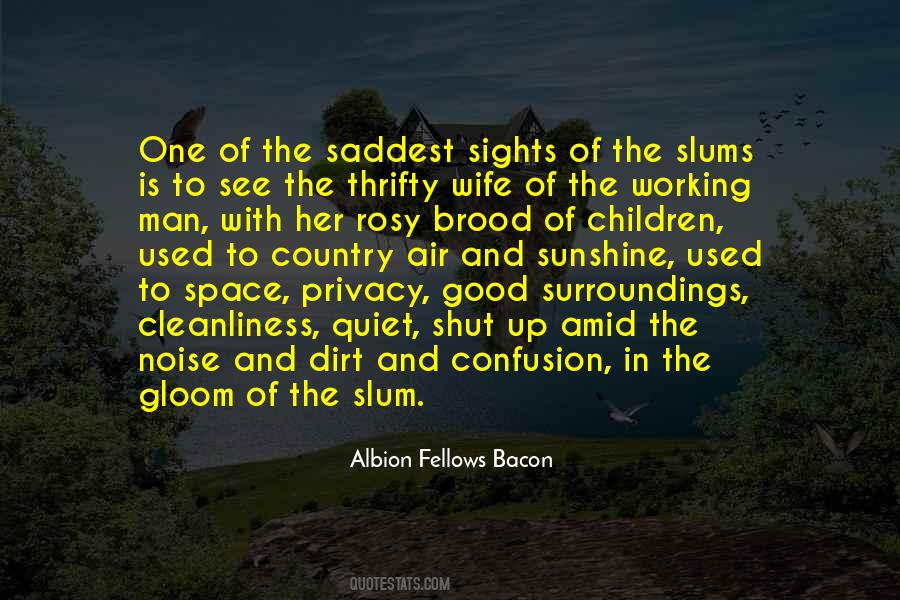 Albion Fellows Bacon Quotes #794941