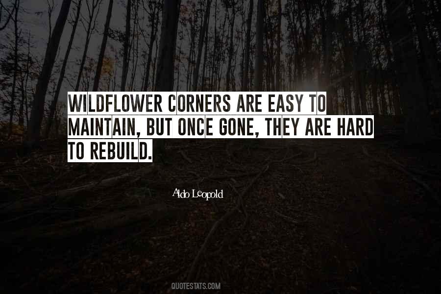 Aldo Leopold Quotes #105510