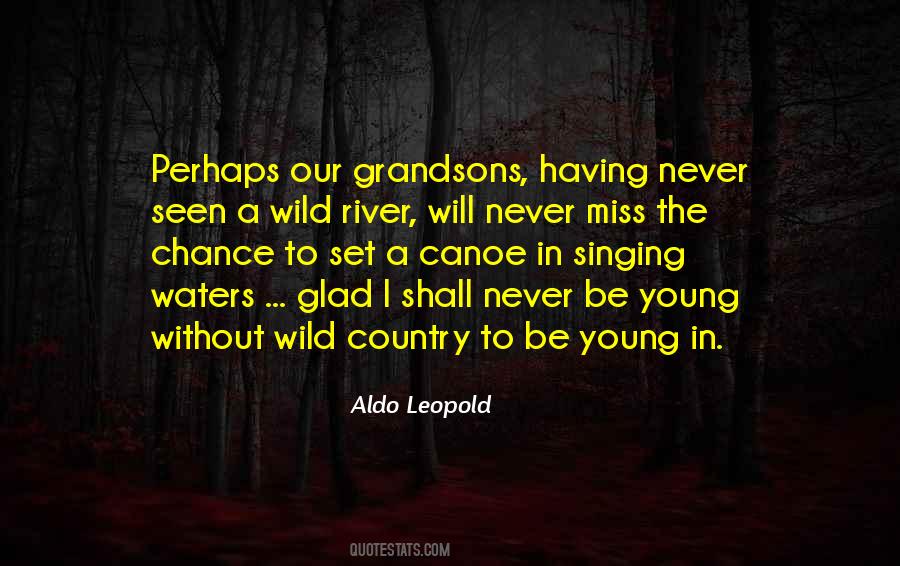 Aldo Leopold Quotes #627227