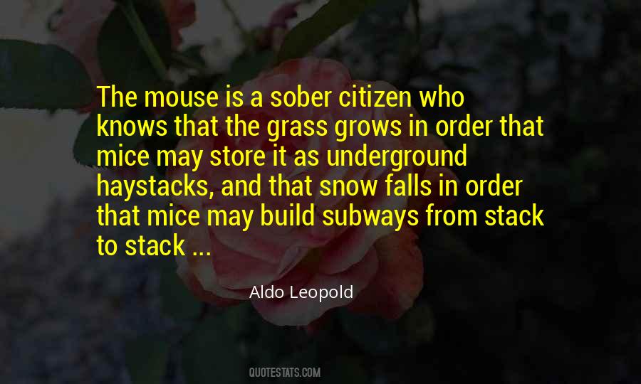 Aldo Leopold Quotes #791449