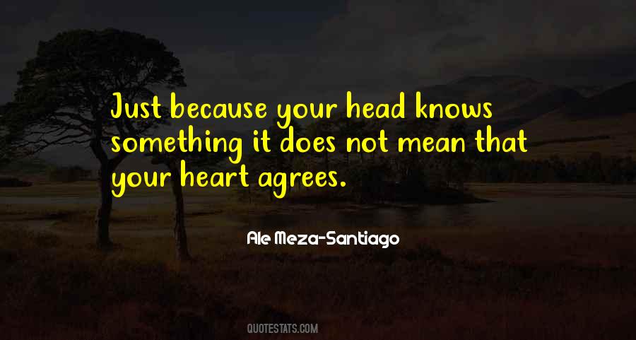 Ale Meza-Santiago Quotes #1820796