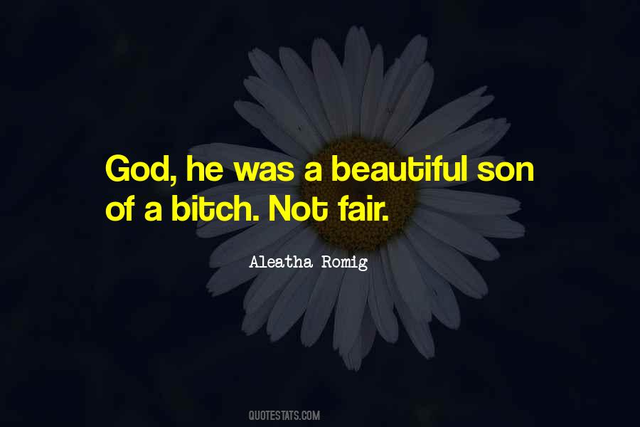 Aleatha Romig Quotes #811664