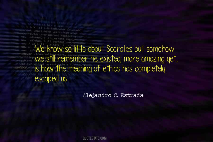 Alejandro C. Estrada Quotes #448811