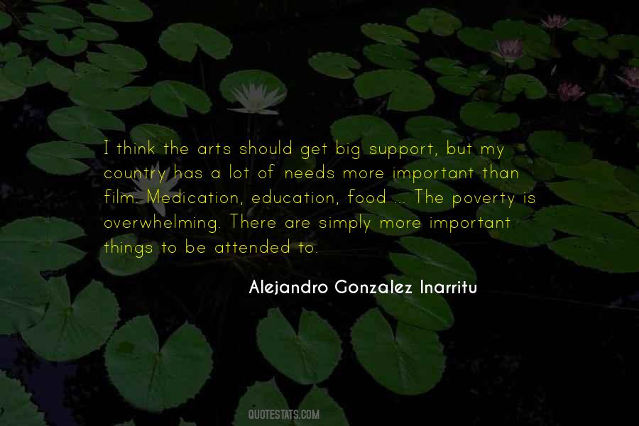 Alejandro Gonzalez Inarritu Quotes #1476266