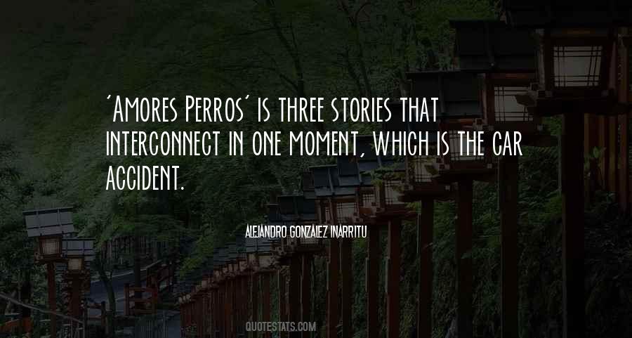 Alejandro Gonzalez Inarritu Quotes #476423