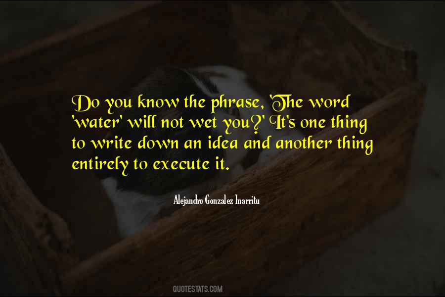 Alejandro Gonzalez Inarritu Quotes #778990