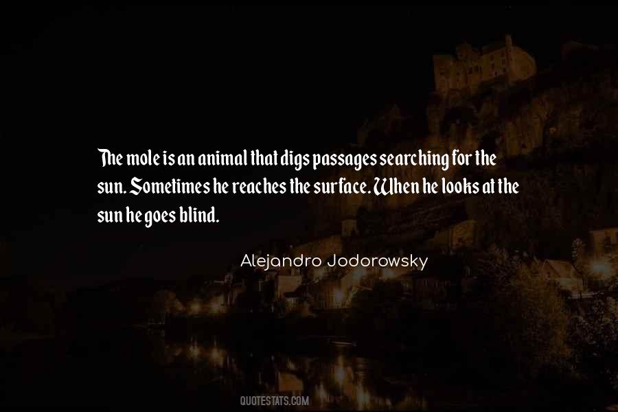 Alejandro Jodorowsky Quotes #241764