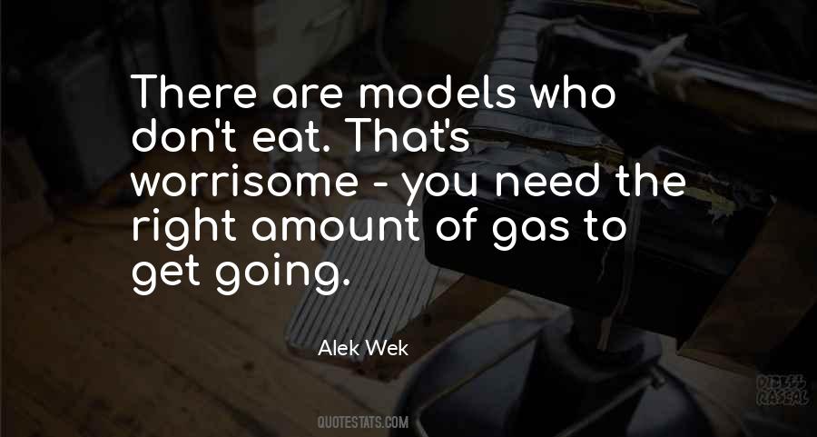 Alek Wek Quotes #438710