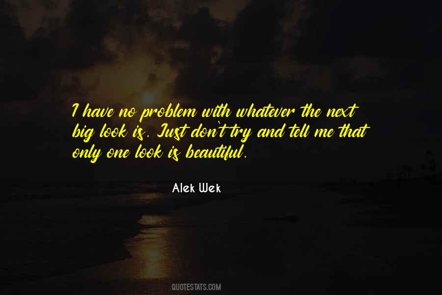 Alek Wek Quotes #920415
