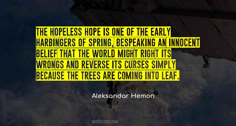 Aleksandar Hemon Quotes #1462507