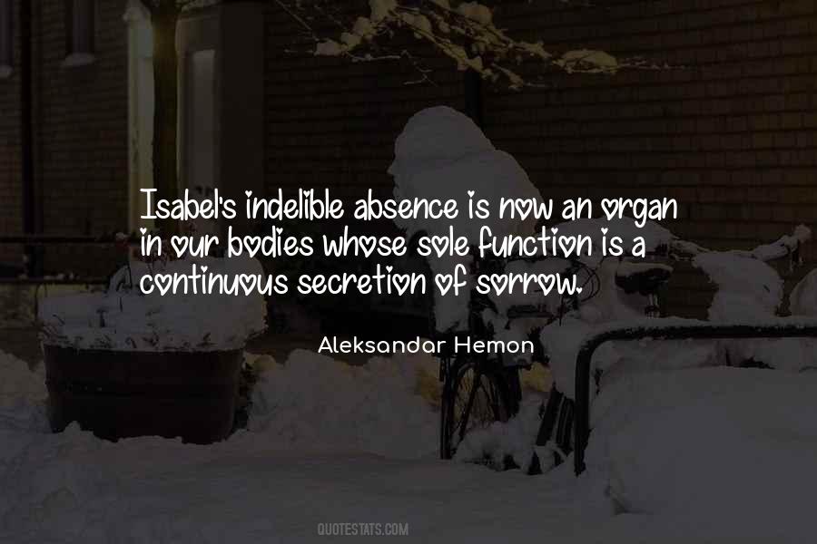 Aleksandar Hemon Quotes #1860360