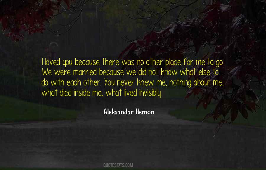 Aleksandar Hemon Quotes #958687