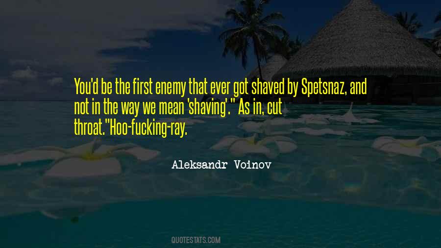 Aleksandr Voinov Quotes #1390818