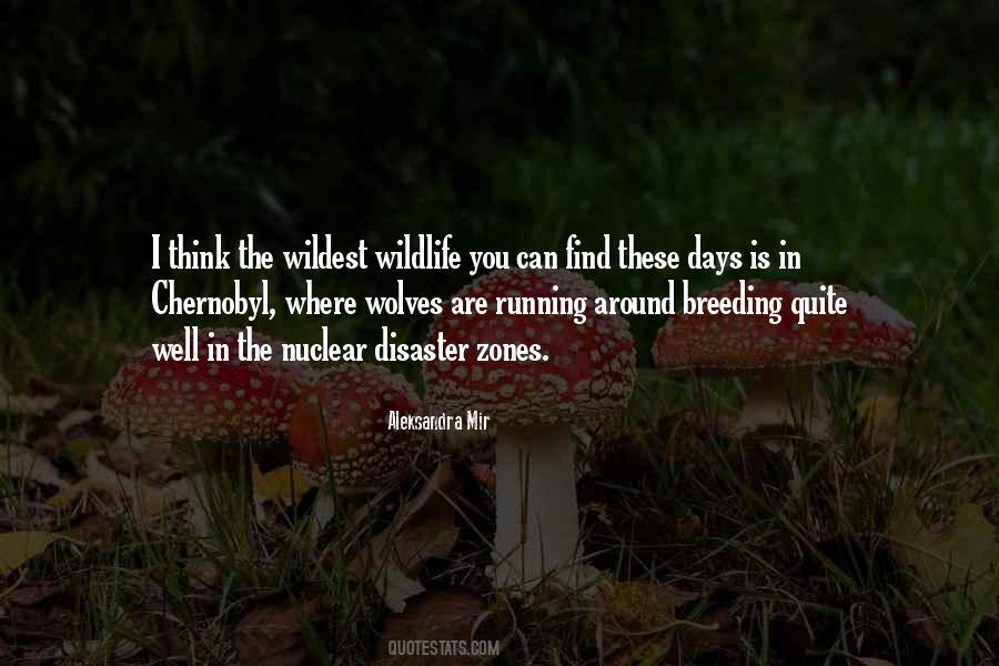 Aleksandra Mir Quotes #1732047
