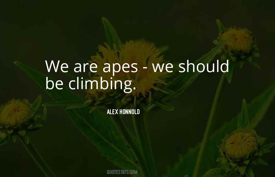 Alex Honnold Quotes #474501